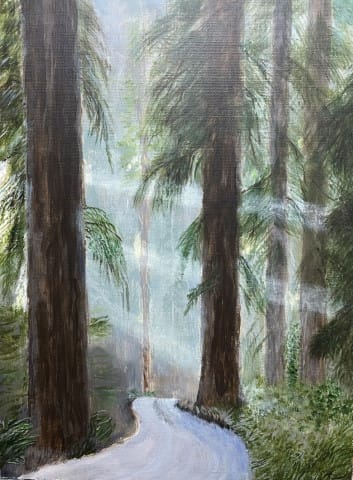 Chris Keusink – Redwoods Stout Grove