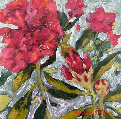 Tammy DeLaney - Rhododendron Bloom